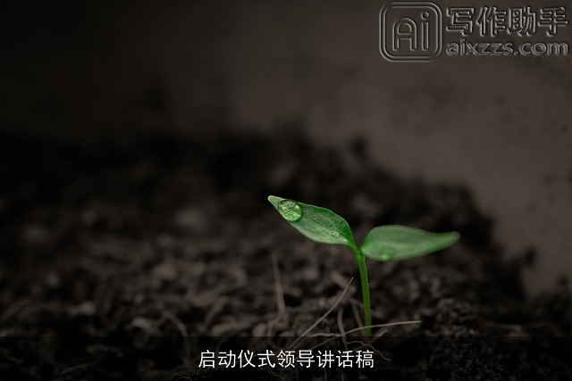 启动仪式领导讲话稿