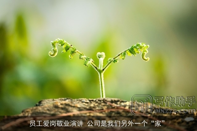 员工爱岗敬业演讲 公司是我们另外一个“家”
