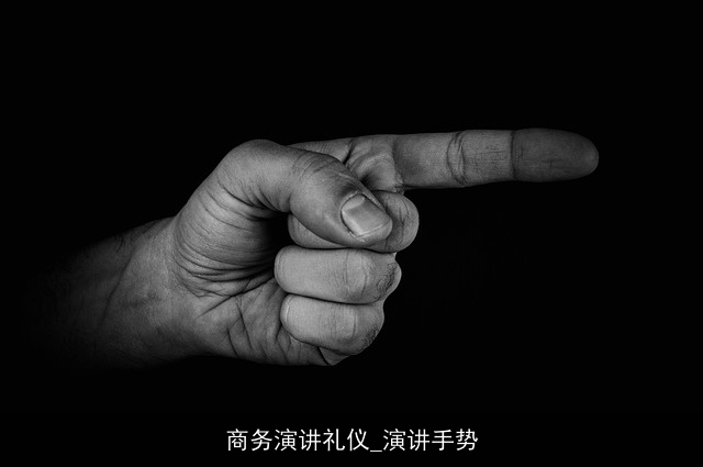 商务演讲礼仪_演讲手势