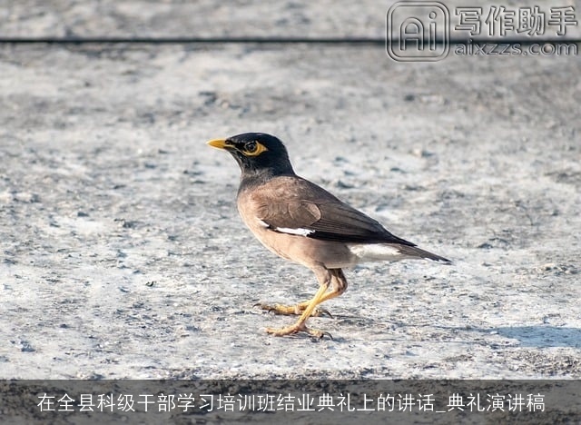 在全县科级干部学习培训班结业典礼上的讲话_典礼演讲稿