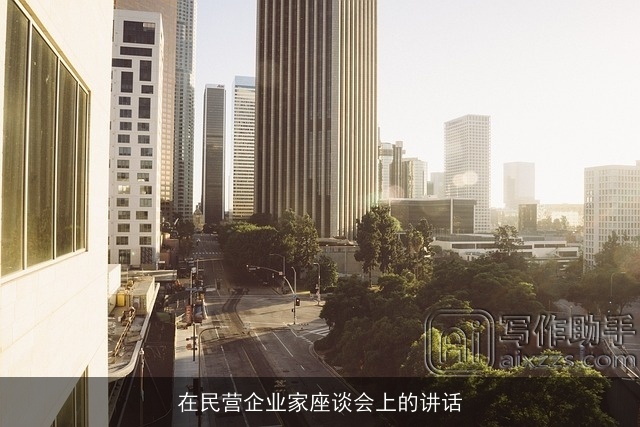 在民营企业家座谈会上的讲话