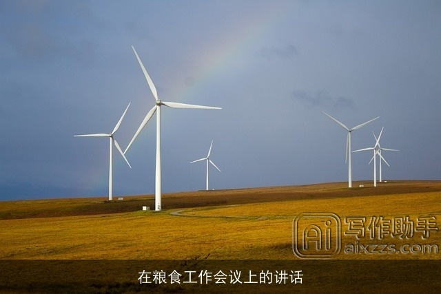 在粮食工作会议上的讲话