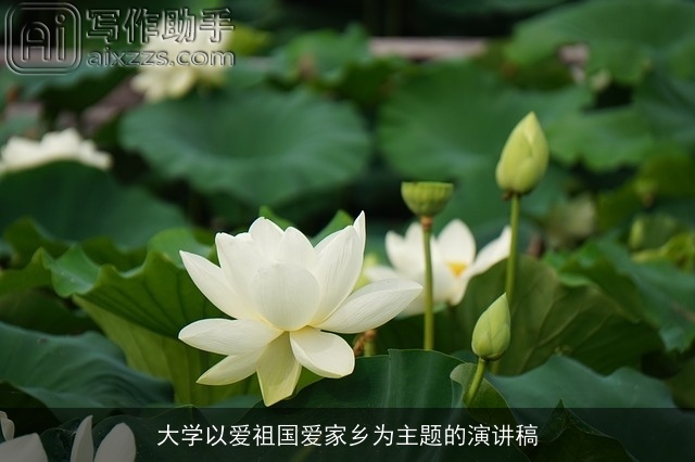 大学以爱祖国爱家乡为主题的演讲稿