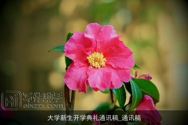 大学新生开学典礼通讯稿_通讯稿