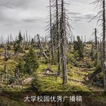 大学校园优秀广播稿