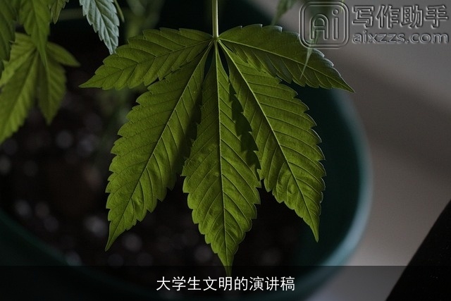 大学生文明的演讲稿