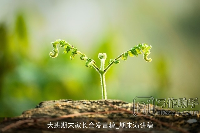 大班期末家长会发言稿_期末演讲稿