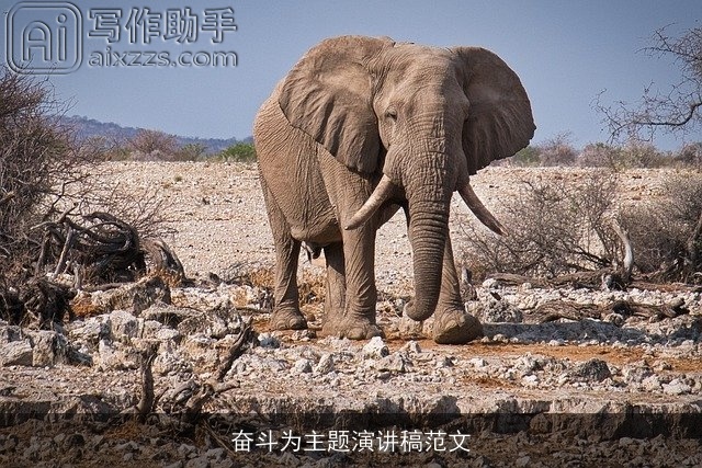 奋斗为主题演讲稿范文