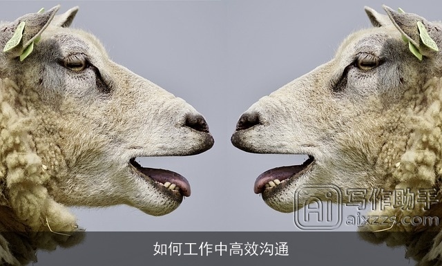 如何工作中高效沟通