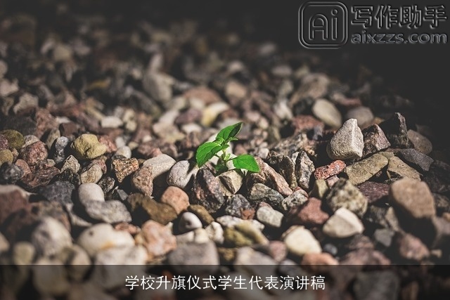 学校升旗仪式学生代表演讲稿