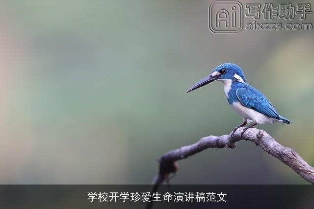 学校开学珍爱生命演讲稿范文