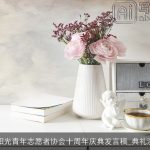 学院阳光青年志愿者协会十周年庆典发言稿_典礼演讲稿