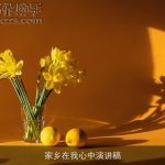 家乡在我心中演讲稿