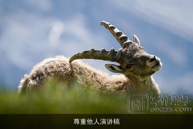 尊重他人演讲稿