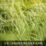 小学二年级校园文明礼仪优秀演讲稿