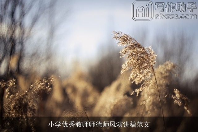 小学优秀教师师德师风演讲稿范文