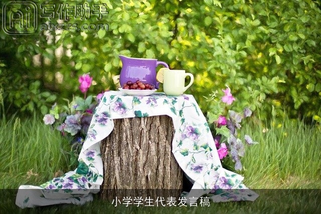 小学学生代表发言稿