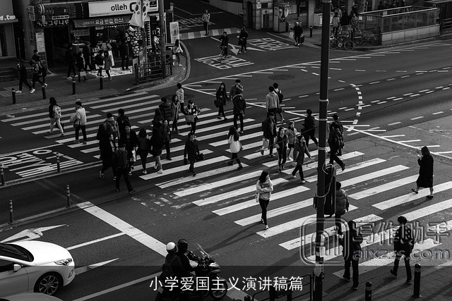 小学爱国主义演讲稿篇