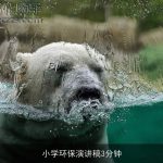 小学环保演讲稿3分钟