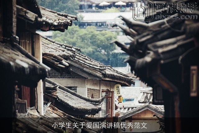 小学生关于爱国演讲稿优秀范文