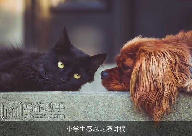 小学生感恩的演讲稿