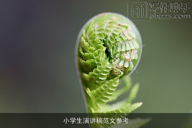 小学生演讲稿范文参考