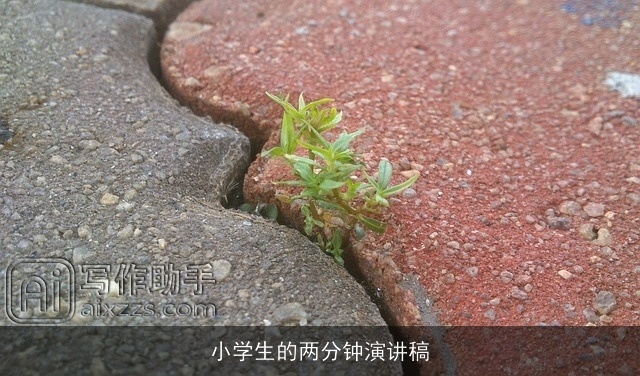 小学生的两分钟演讲稿