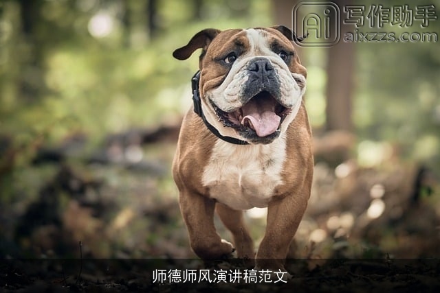 师德师风演讲稿范文