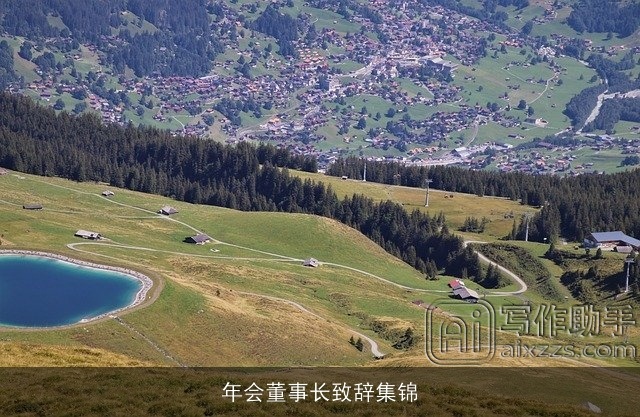 年会董事长致辞集锦