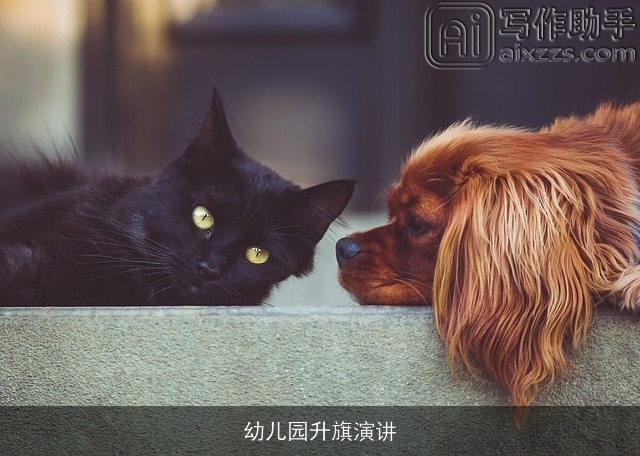 幼儿园升旗演讲