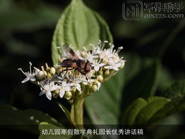 幼儿园寒假散学典礼园长优秀讲话稿