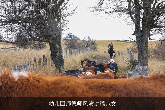 幼儿园师德师风演讲稿范文