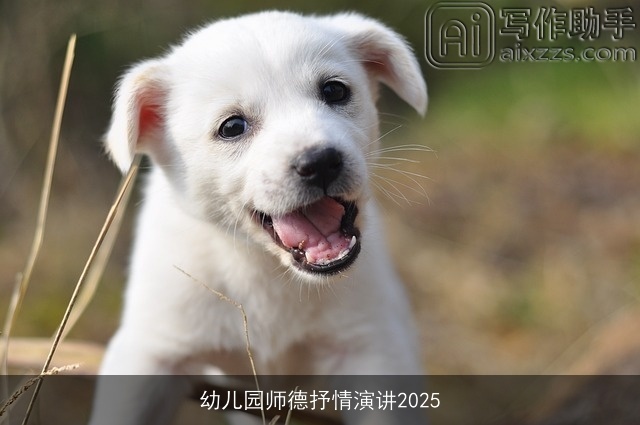 幼儿园师德抒情演讲2025