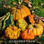 幼儿园老师感恩节演讲稿