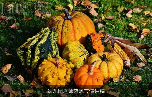 幼儿园老师感恩节演讲稿