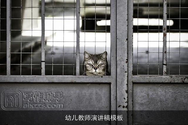 幼儿教师演讲稿模板