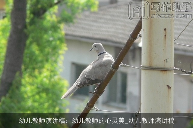 幼儿教师演讲稿：幼儿教师的心灵美_幼儿教师演讲稿