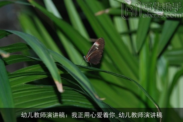 幼儿教师演讲稿：我正用心爱着你_幼儿教师演讲稿