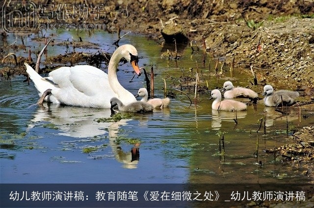 幼儿教师演讲稿：教育随笔《爱在细微之处》_幼儿教师演讲稿