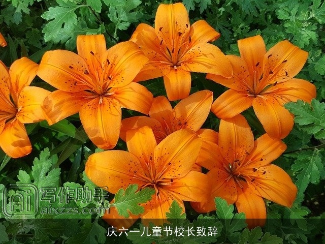 庆六一儿童节校长致辞