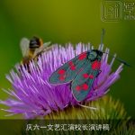 庆六一文艺汇演校长演讲稿