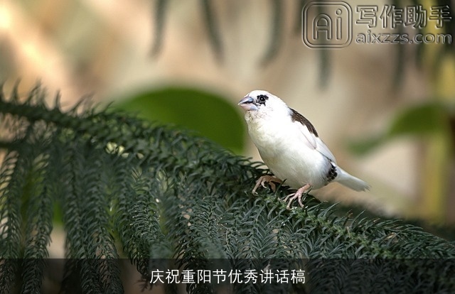 庆祝重阳节优秀讲话稿