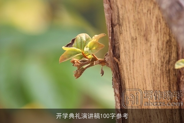 开学典礼演讲稿100字参考