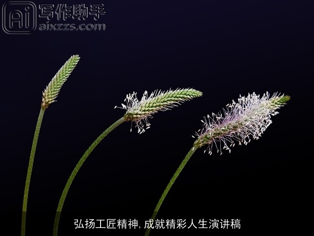 弘扬工匠精神,成就精彩人生演讲稿