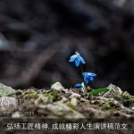 弘扬工匠精神,成就精彩人生演讲稿范文