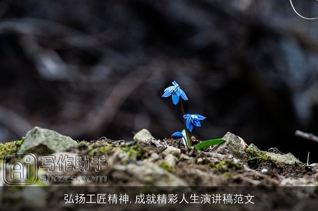 弘扬工匠精神,成就精彩人生演讲稿范文