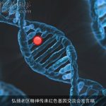 弘扬老区精神传承红色基因交流会发言稿