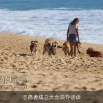 志愿者成立大会领导讲话