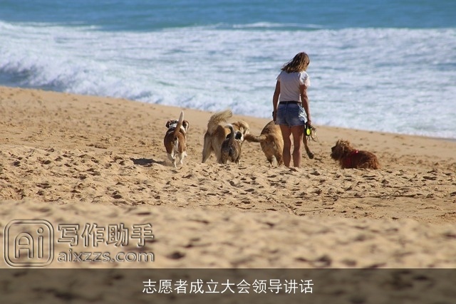 志愿者成立大会领导讲话