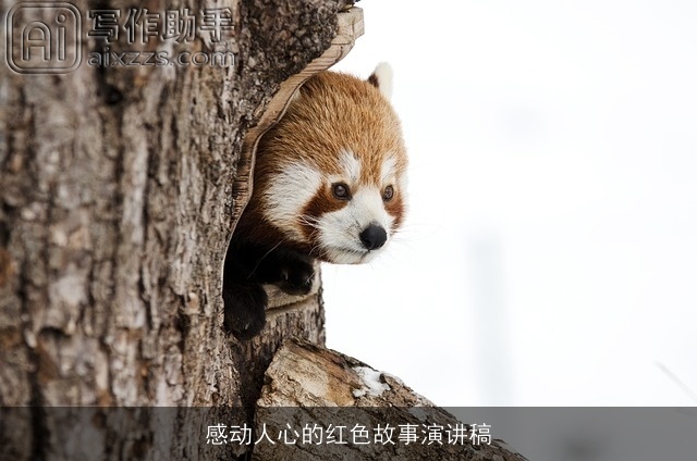 感动人心的红色故事演讲稿